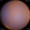 1587047359.jpg