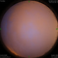 1587047419.jpg