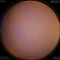 1587047539.jpg