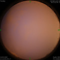 1587047599.jpg
