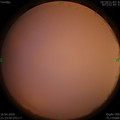 1587047659.jpg