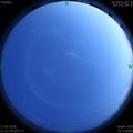 1587133306.jpg