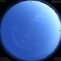 1587133561.jpg
