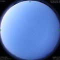 1587163051.jpg