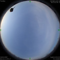 1587166353.jpg