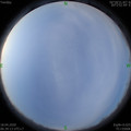 1587166773.jpg