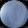 1587166953.jpg