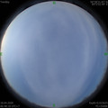 1587167313.jpg