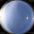 1587169774.jpg