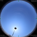 1587188023.jpg
