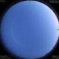 1587218338.jpg