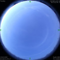1587247152.jpg