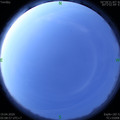 1587247768.jpg