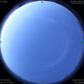1587248158.jpg