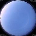 1587249643.jpg