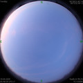 1587250139.jpg