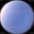 1587250259.jpg