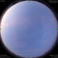 1587250559.jpg
