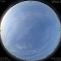 1587252810.jpg