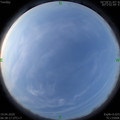 1587253110.jpg