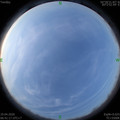 1587253290.jpg