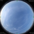 1587253530.jpg