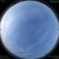 1587254011.jpg