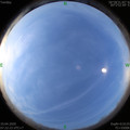 1587255752.jpg