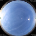 1587256157.jpg