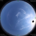 1587293150.jpg