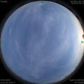 1587299018.jpg