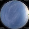 1587299768.jpg
