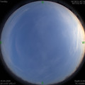 1587302004.jpg