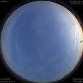 1587302064.jpg