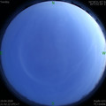 1587307362.jpg