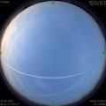 1587338517.jpg