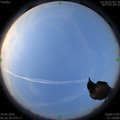 1587338817.jpg