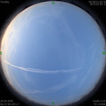 1587338877.jpg