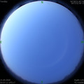 1587420458.jpg