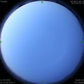 1587421178.jpg