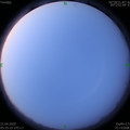 1587422138.jpg