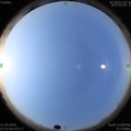 1587430453.jpg