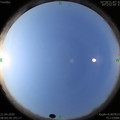 1587430843.jpg