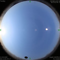 1587431623.jpg