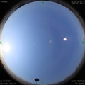 1587433184.jpg