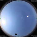 1587434355.jpg
