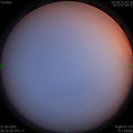 1587476135.jpg