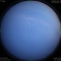 1587478386.jpg