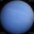1587478446.jpg