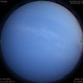 1587478566.jpg